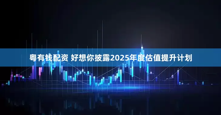 粤有钱配资 好想你披露2025年度估值提升计划