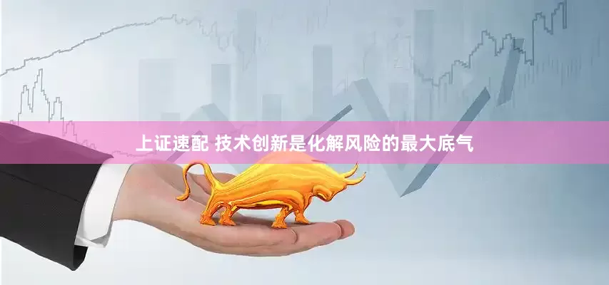上证速配 技术创新是化解风险的最大底气
