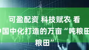 可盈配资 科技赋农 看中国中化打造的万亩“吨粮田”