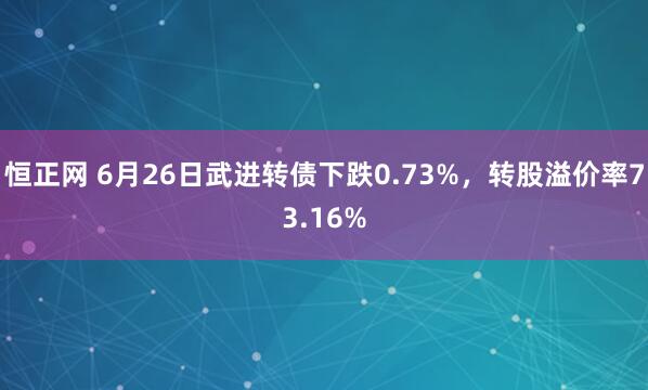 恒正网 6月26日武进转债下跌0.73%，转股溢价率73.16%
