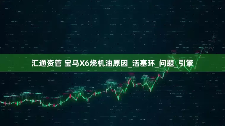 汇通资管 宝马X6烧机油原因_活塞环_问题_引擎