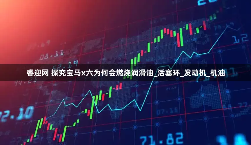 睿迎网 探究宝马x六为何会燃烧润滑油_活塞环_发动机_机油