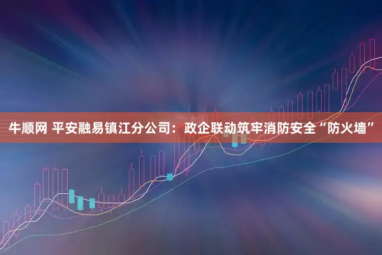 牛顺网 平安融易镇江分公司：政企联动筑牢消防安全“防火墙”