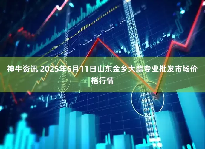 神牛资讯 2025年6月11日山东金乡大蒜专业批发市场价格行情